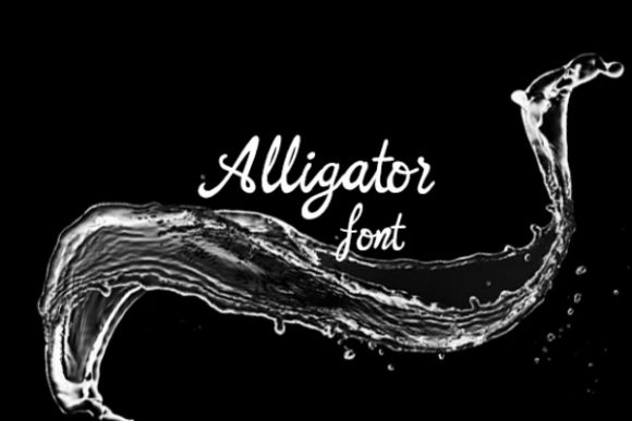 Alligator Font: A Script Typeface That Earns Its Place in Campaign Design