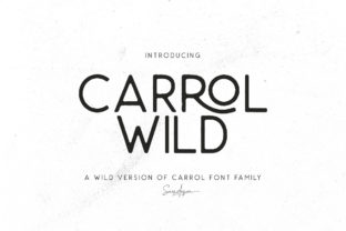 Carrol Wild: A Modern Sans Serif Font for Your Brand