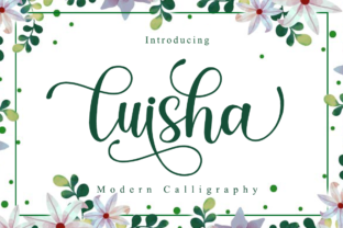 Luisha Font: A Web Designer's Review for Modern Branding