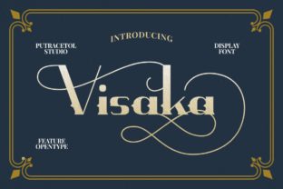 Visaka: A Display Font That Brings Personality to Web Design