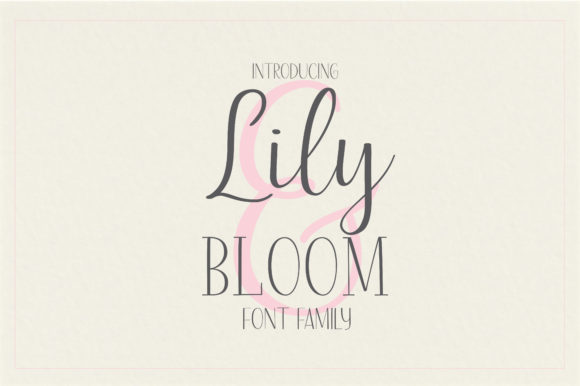 Why Lily Bloom Became My Go-To Typeface for Editorial Design